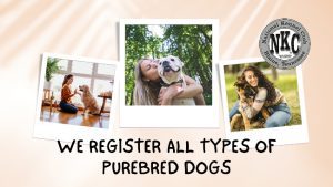 Our Registry Preserves the Breeding and Sport of Purebred Dogs