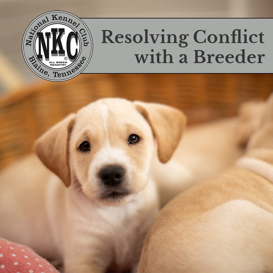Resolving Conflict with a Breeder Prior to the Dog Registration Process