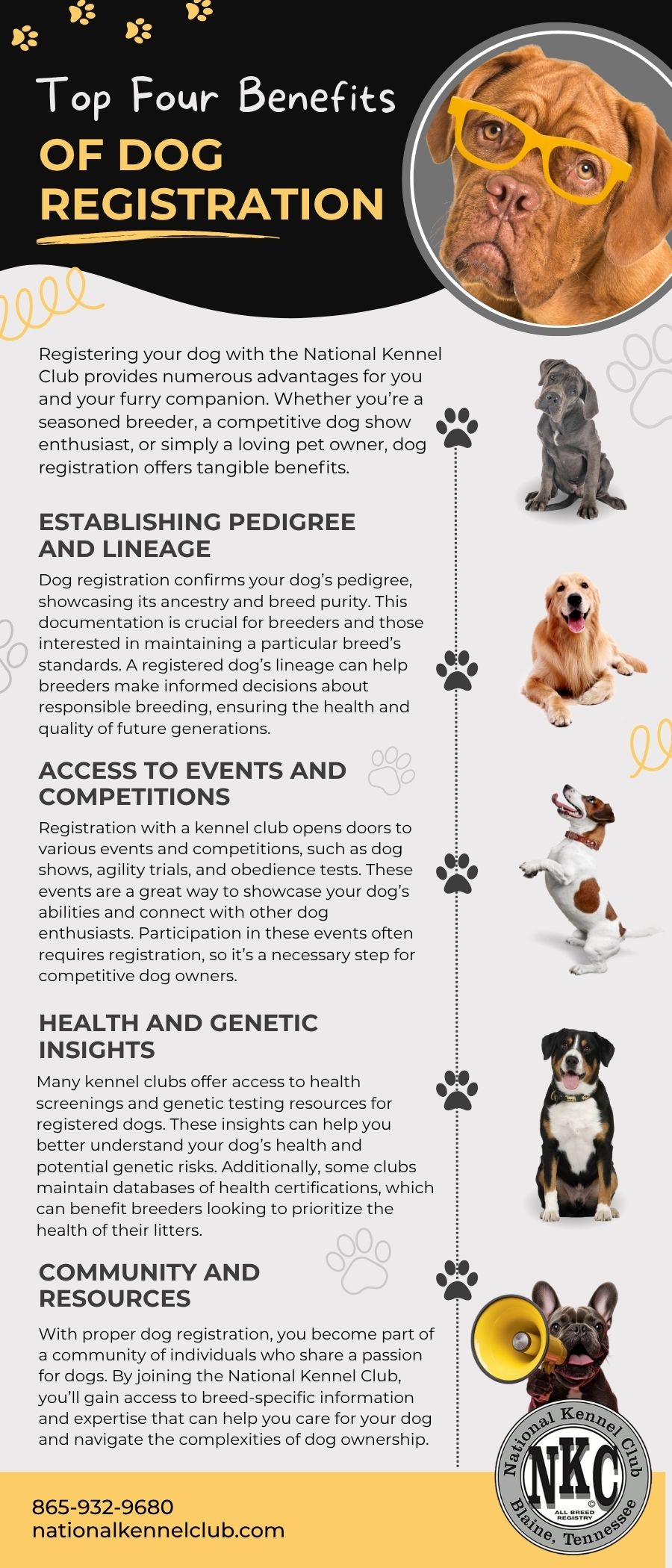 Top Four Benefits of Dog Registration 