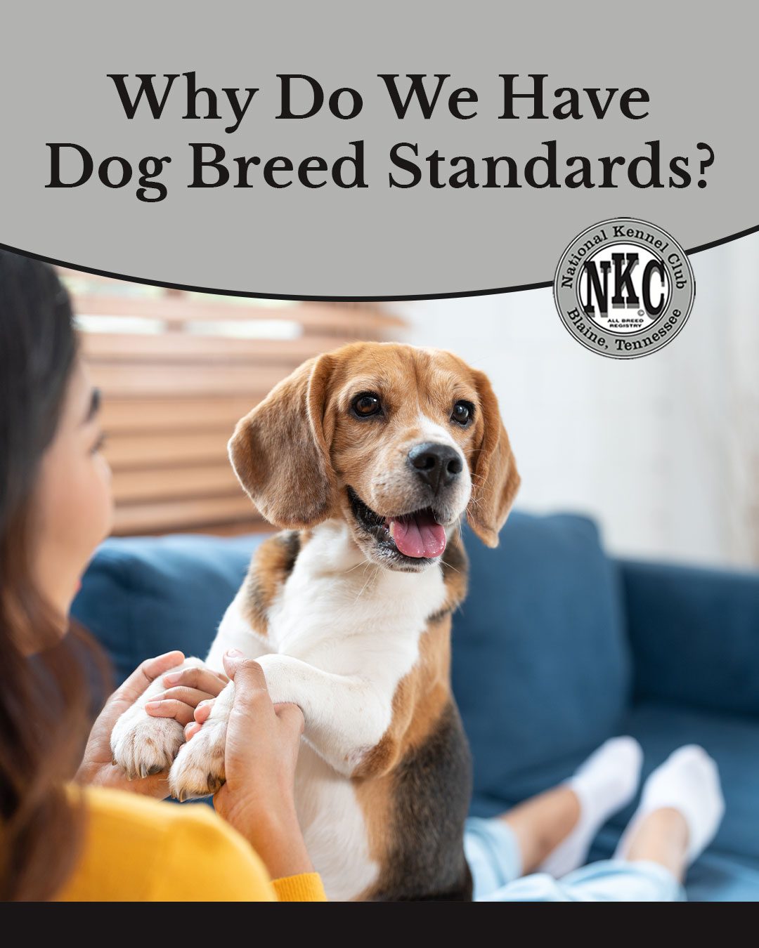 Five Ways to Prepare for Dog Show Events
