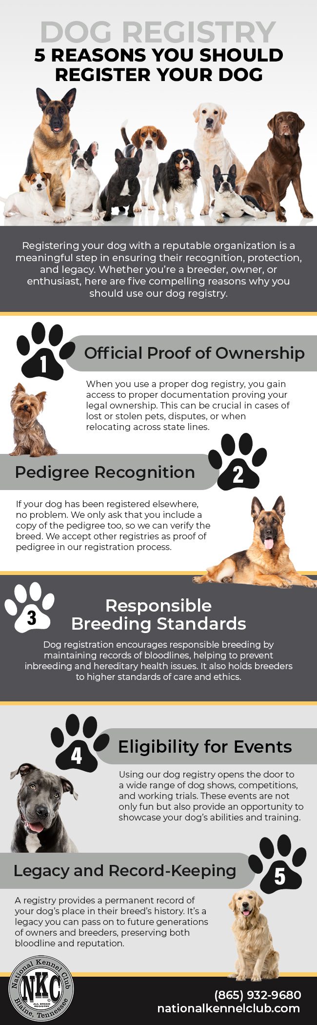 Dog Registry: 5 Reasons You Should Register Your Dog [infographic]