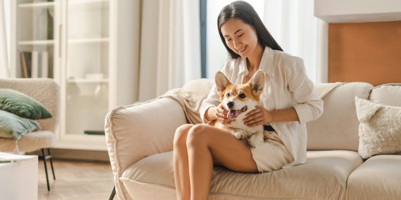Dog Registry: 5 Reasons You Should Register Your Dog