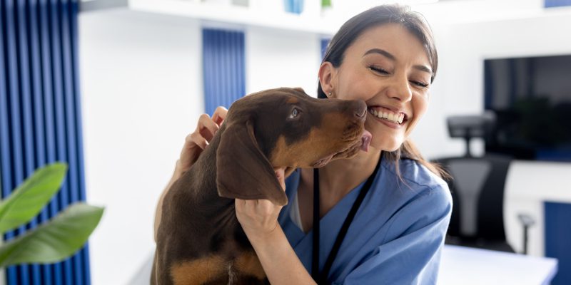 Understanding the Value of a Purebred Registry