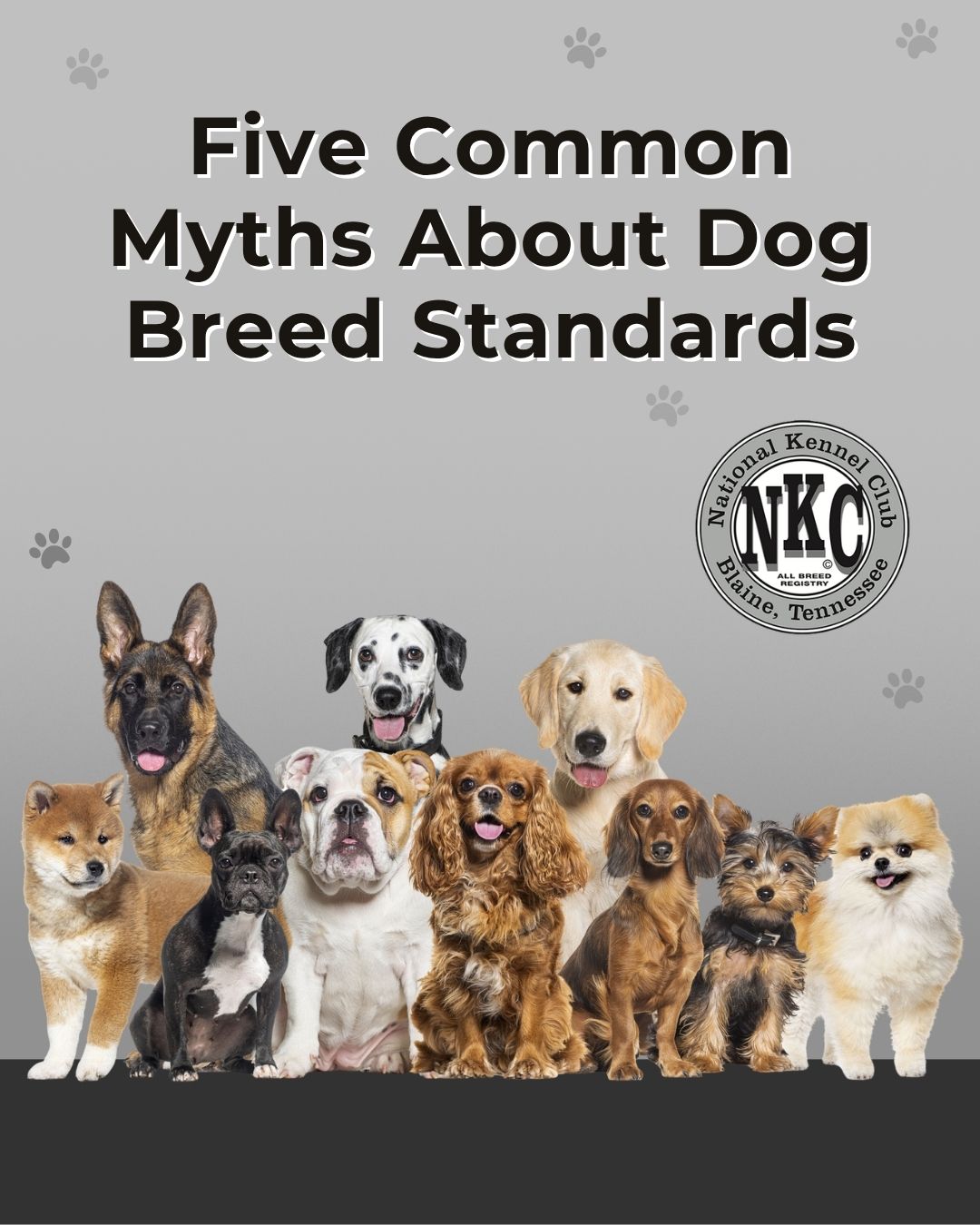 Five Common Myths About Dog Breed Standards
